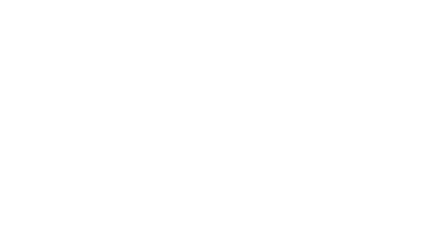 Aviatrix